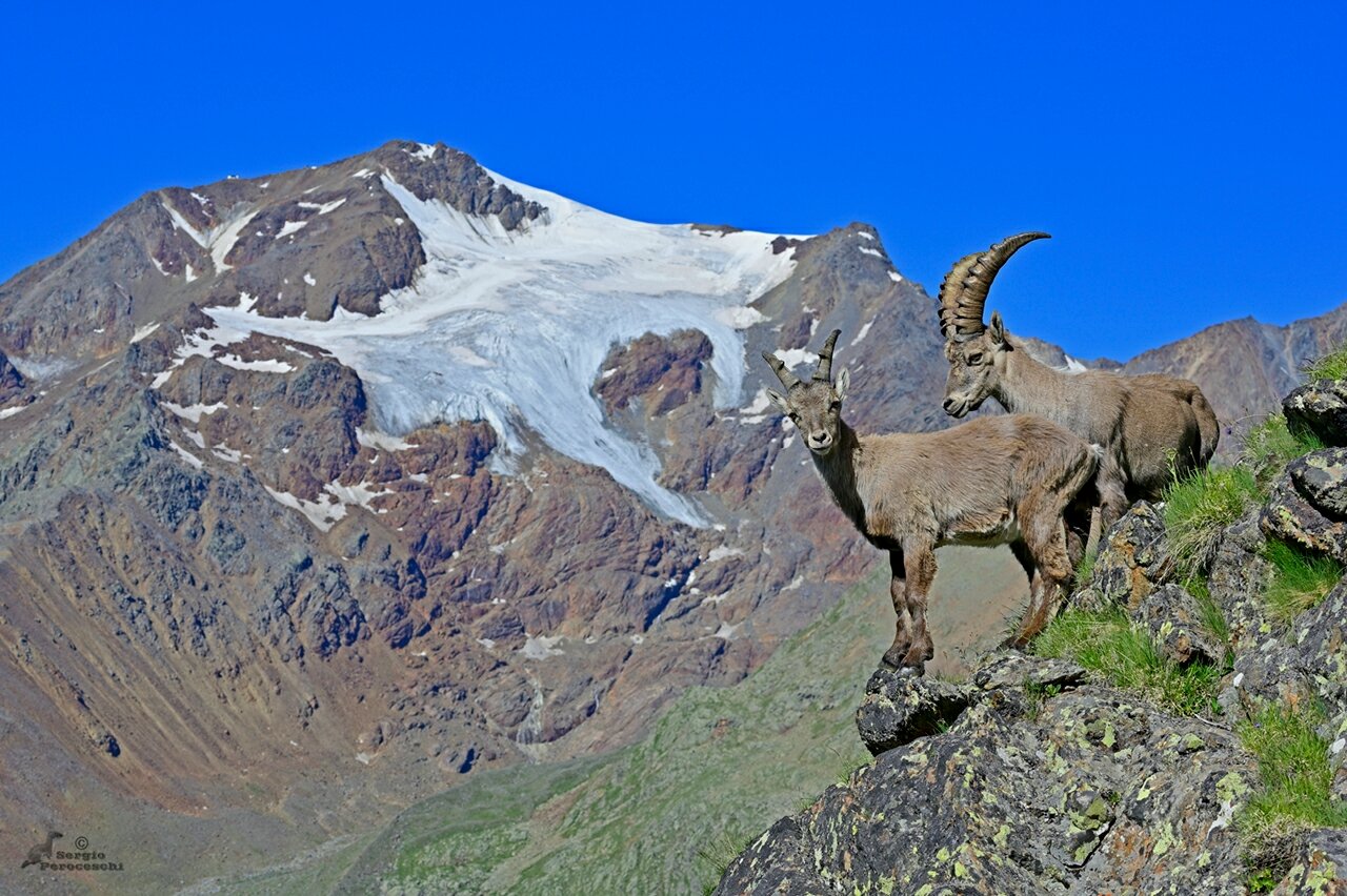 Chiesetta Rifugio Larcher